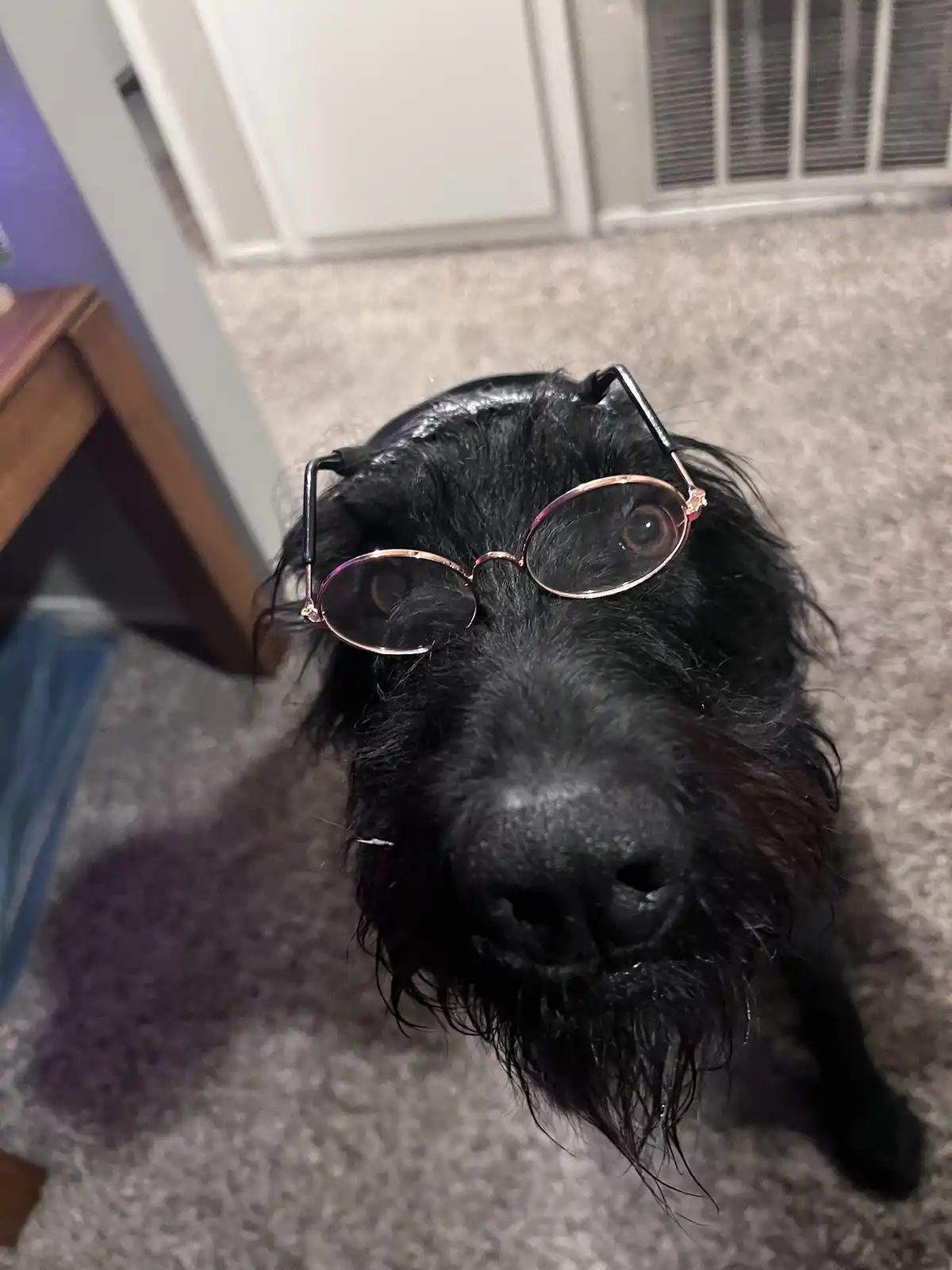 Wishing You a Spooktacular Halloween from This Charming Old Lady