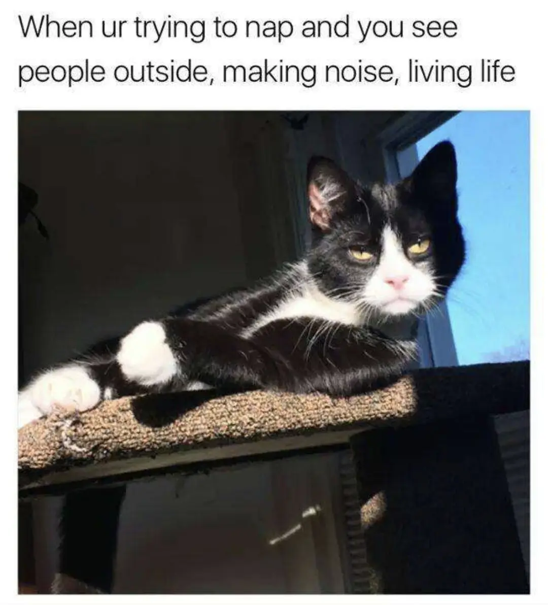 A Random Collection of Memes: Volume 282