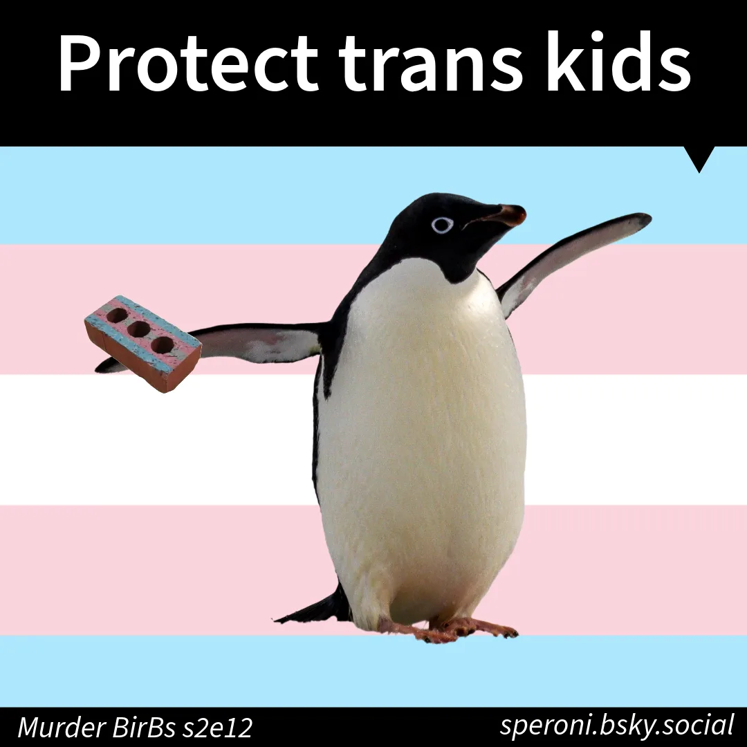 Standing Up for Trans Kids: A Call to Action
