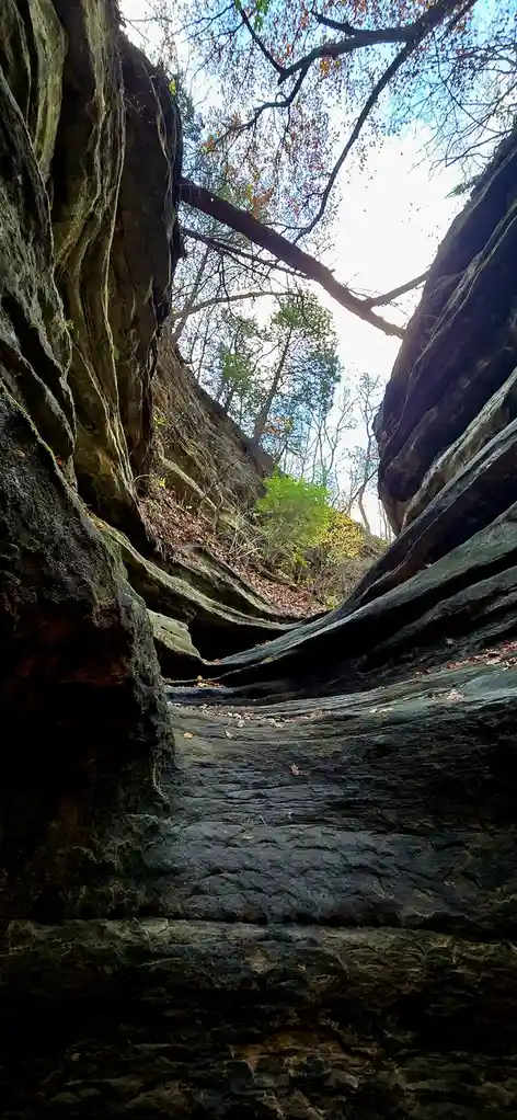 A low-angle photo looking up through a narrow, winding rock canyon with autumn leaves scattered on the ground and trees…