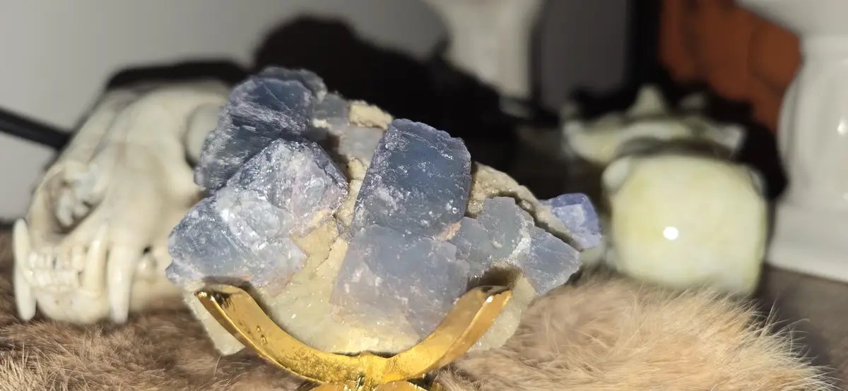 Unveiling the Mystery Specimen!