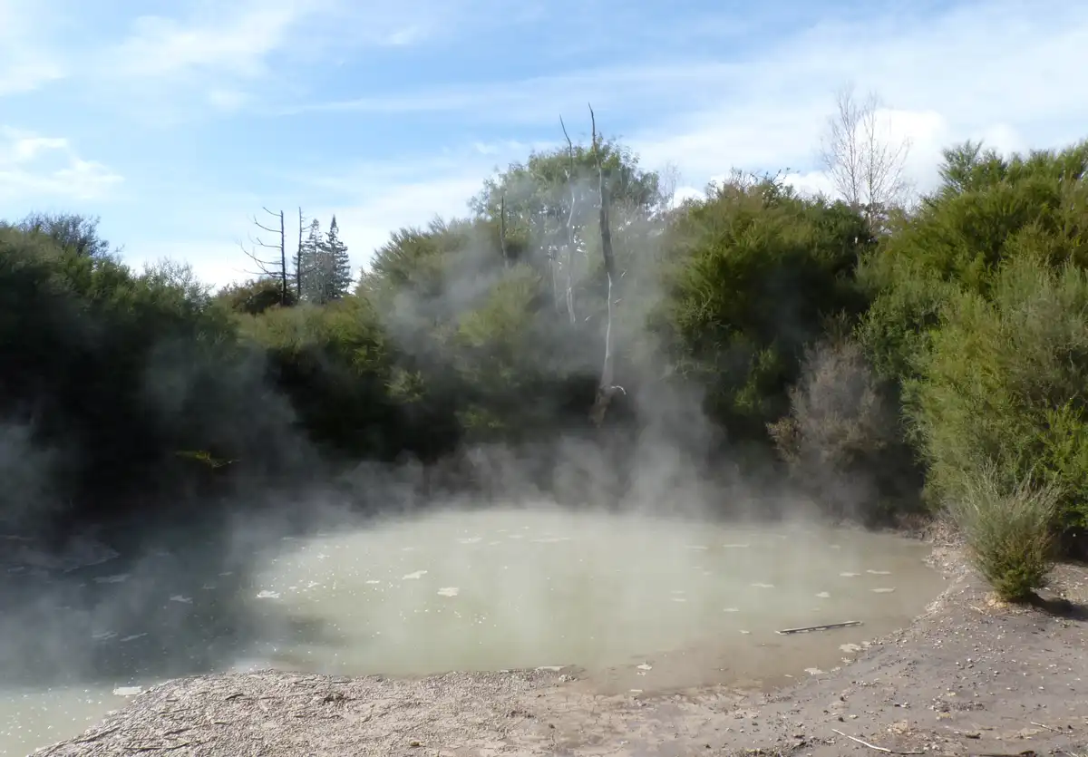 A natural geothermal pool emits thick steam into the air, surrounded by green bushes and trees under a partly cloudy sky…