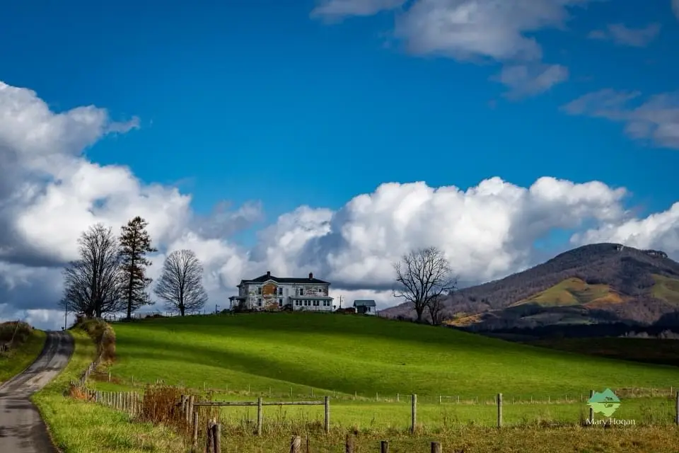 Home Again: The Comfort of House