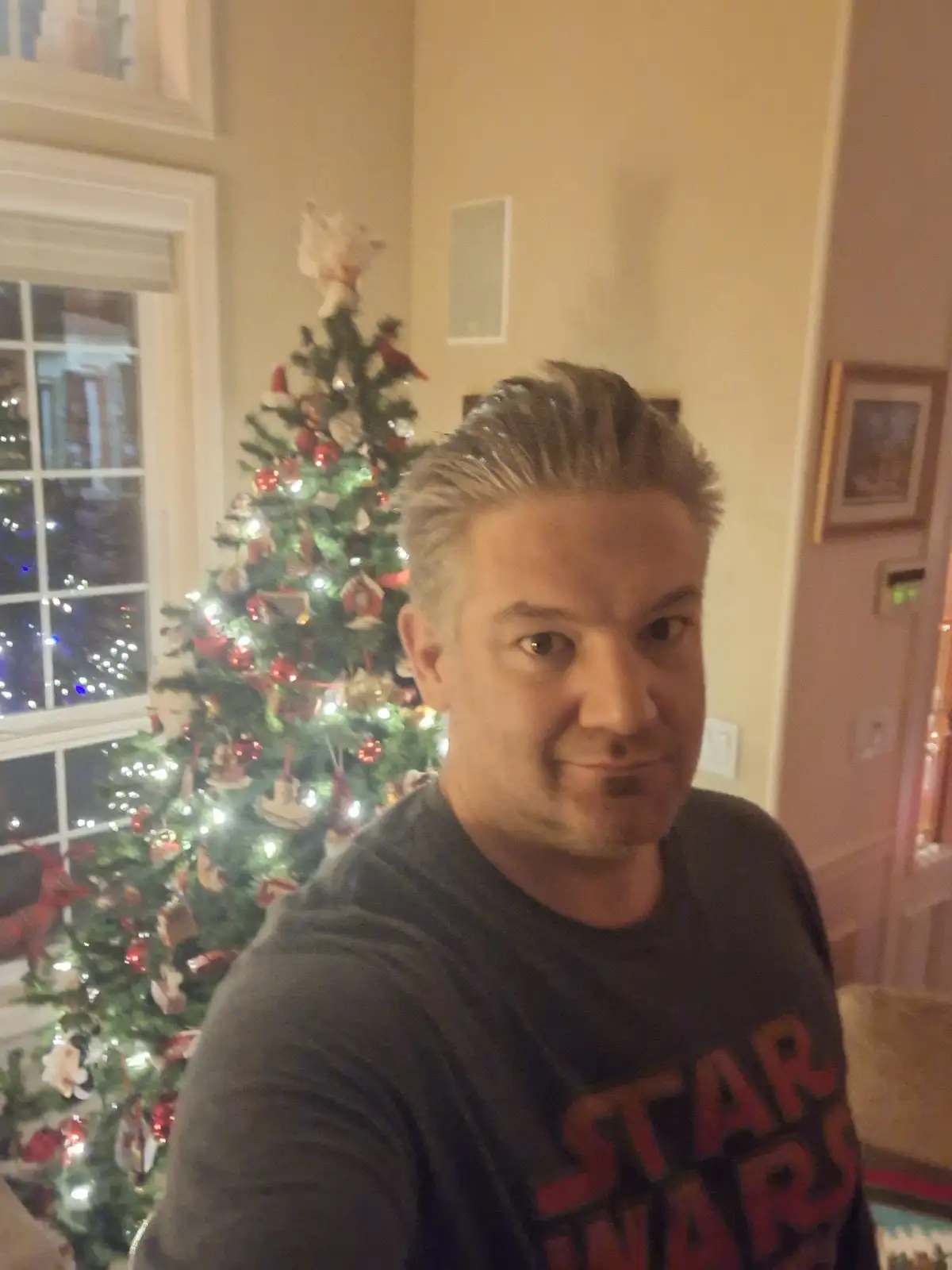 Celebrating my first sober Christmas in ages... and I can't even recall when!