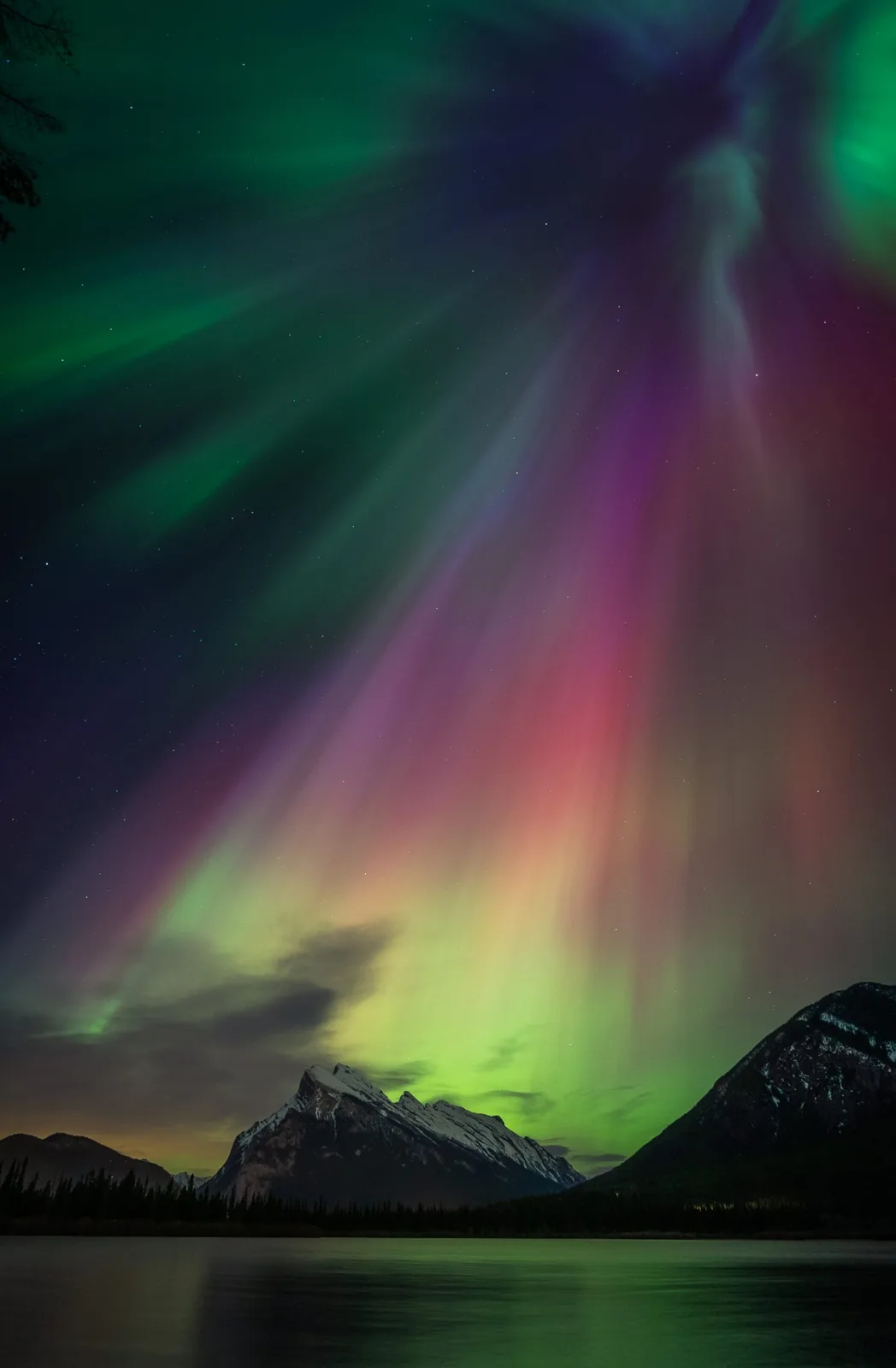 A stunning photograph of the aurora borealis, with vibrant green, purple, and pink lights dancing across a starry night sky…