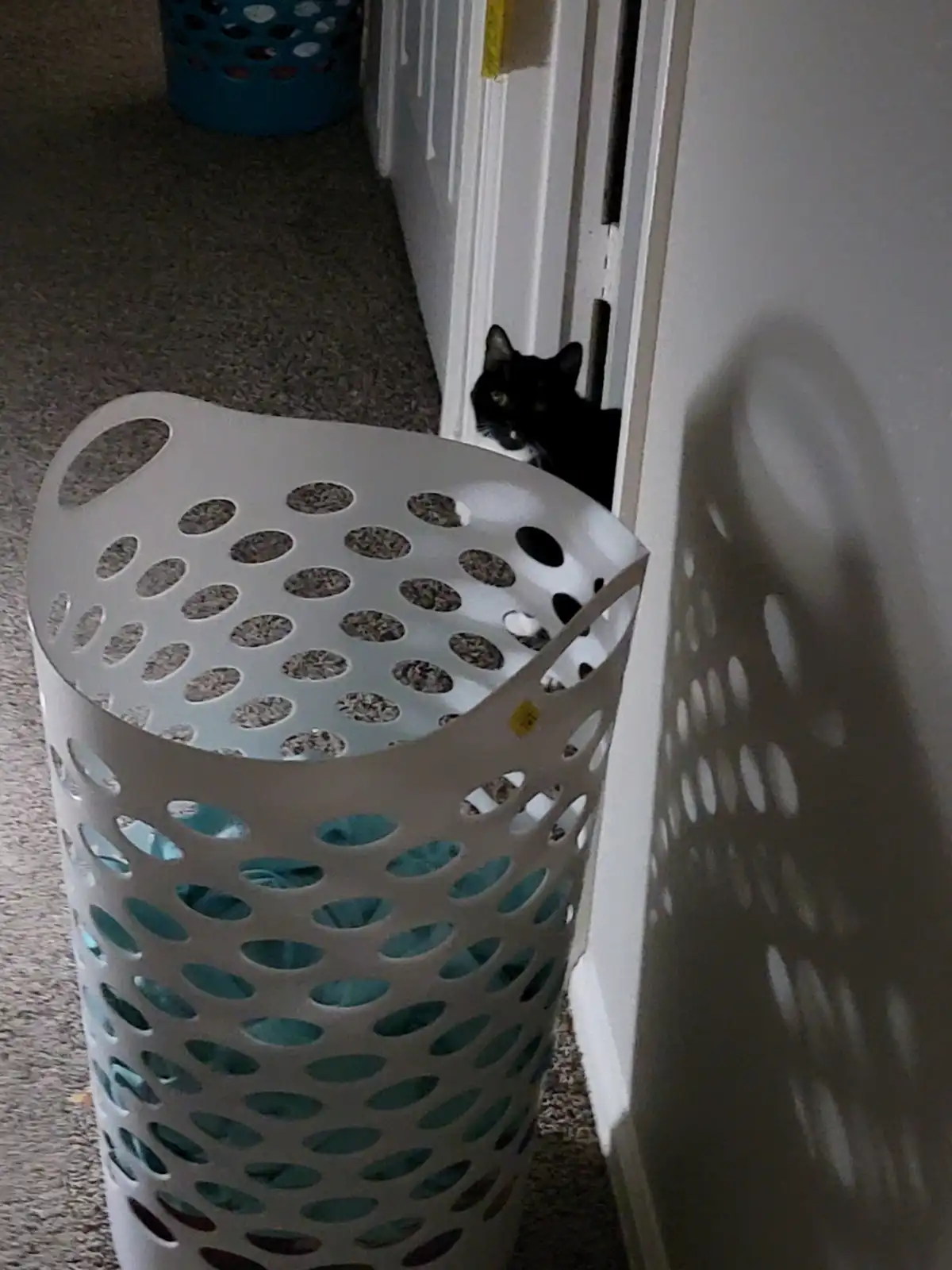 A black cat peeks out from behind a white laundry basket with oval holes, its green eyes visible as it looks toward the…