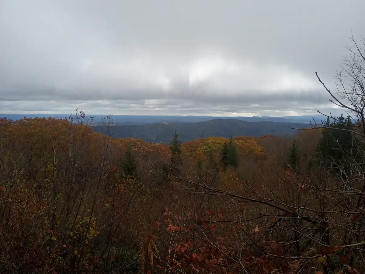 Unwind in the Scenic Dolly Sods Wilderness Area Cabins, WV on October 16, 2024