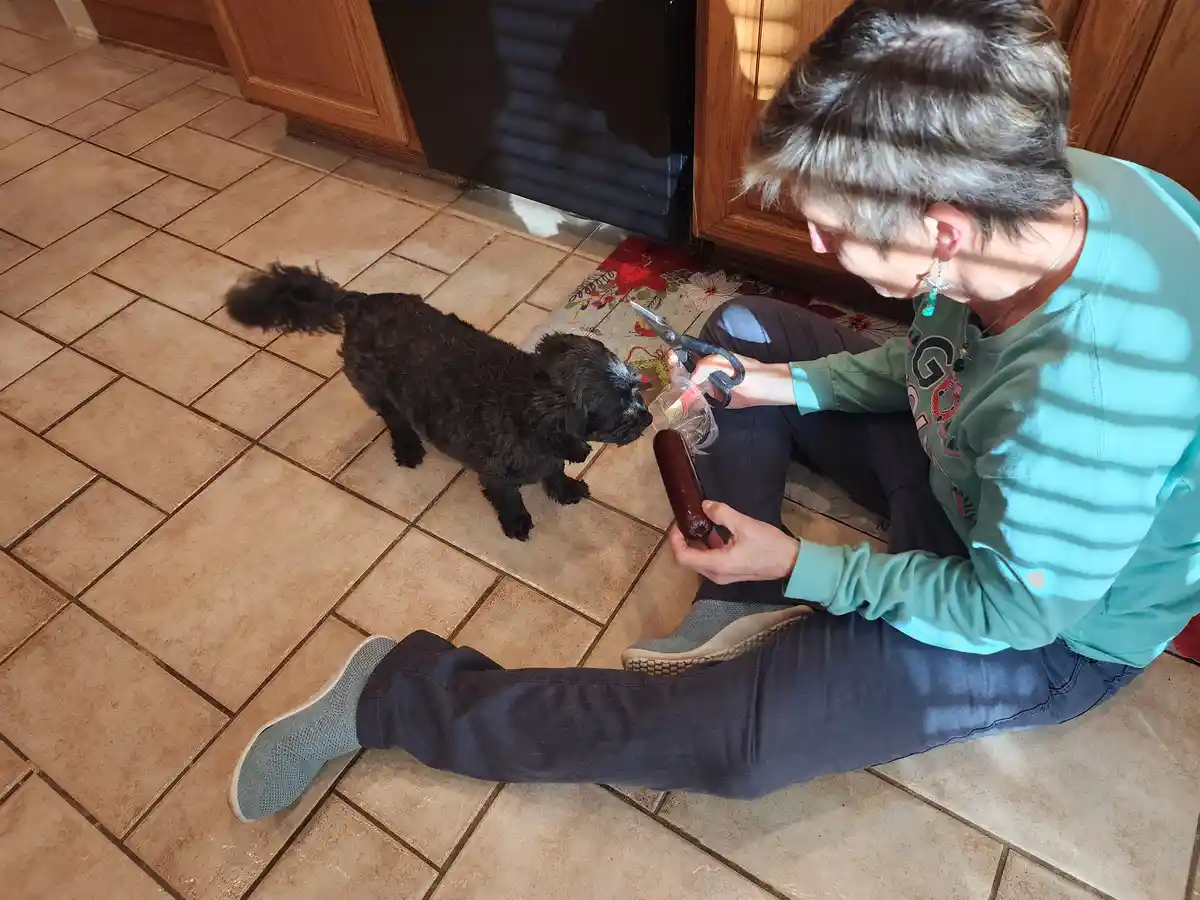 A person sits on a tiled kitchen floor, holding a hot dog and scissors, while a small black dog eagerly tries to steal it…