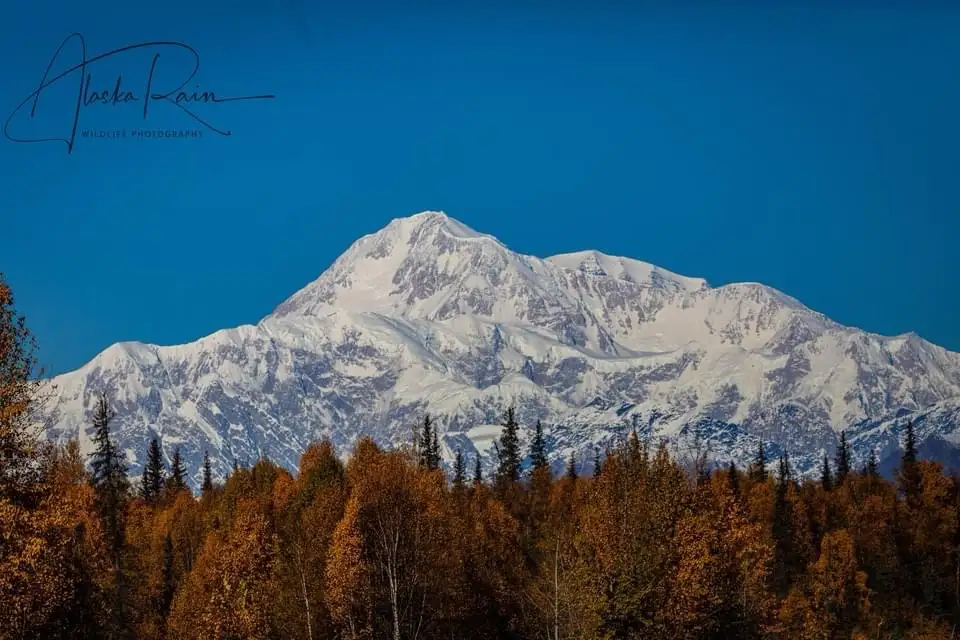 Exploring the Wonders of Alaska