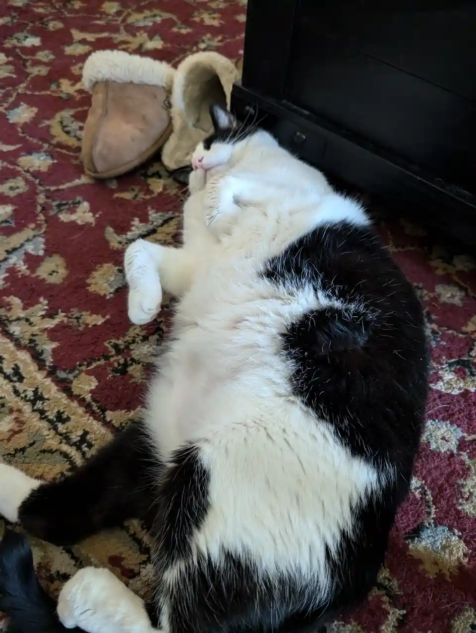 Meet the legendary Phat Larry!
