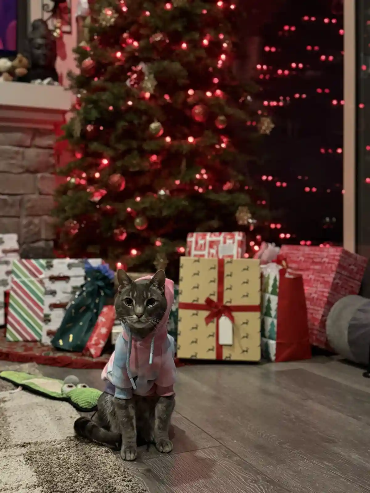 Celebrating Christmas Eve with Warm Wishes from Colorado!