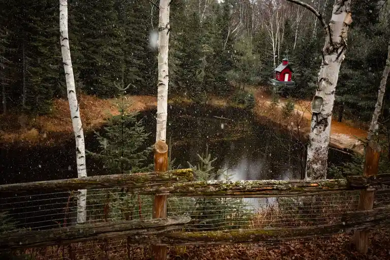 A snowy forest scene with birch trees, a wooden fence, and a small pond, featuring a red birdhouse hanging from a tree…