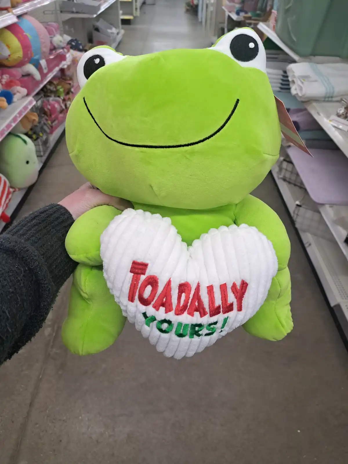 A person holds a large green plush frog in a store aisle, the frog is holding a white heart-shaped pillow that reads…