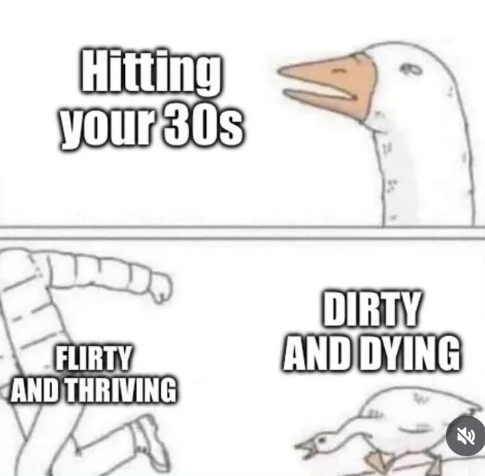 The meme features a two-panel image of a cartoon goose. The top panel shows the goose's head with the text 'Hitting your…