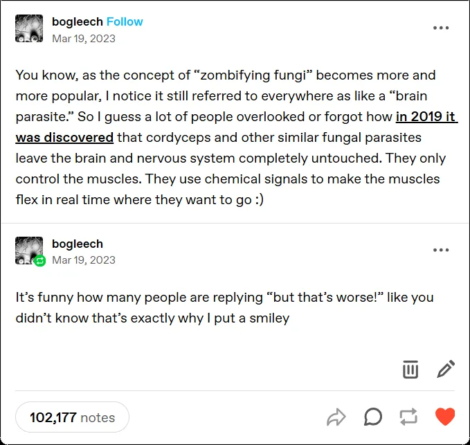 The image shows a screenshot of a Tumblr post by user 'bogleech' from March 19, 2023. The post contains two entries: the…