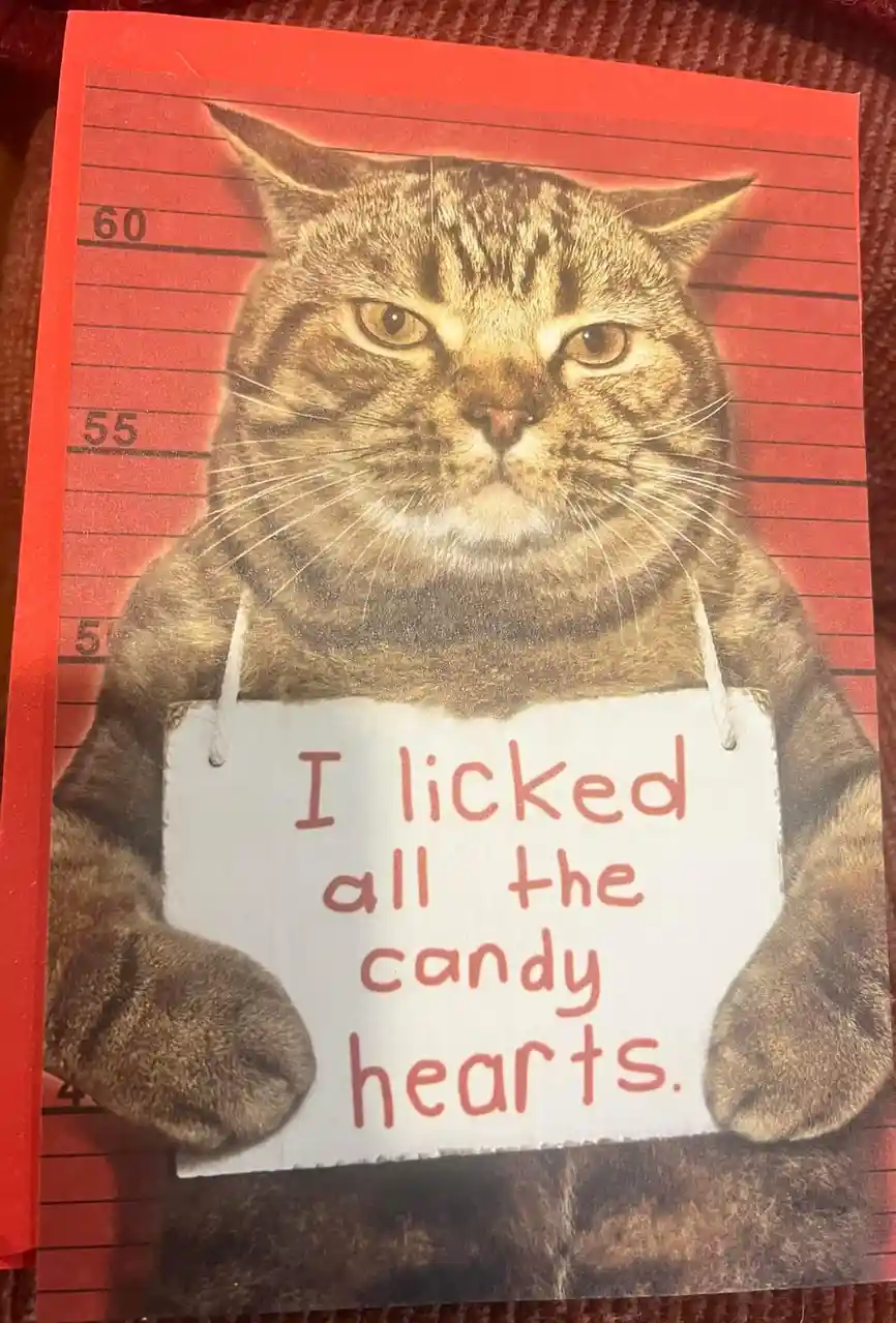 A tabby cat is depicted in a mugshot-style photo against a red background with height markings. The cat holds a white sign…