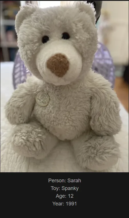 A close-up photo of a light gray, fluffy teddy bear with a brown nose and black eyes, sitting upright. A black bar at the…