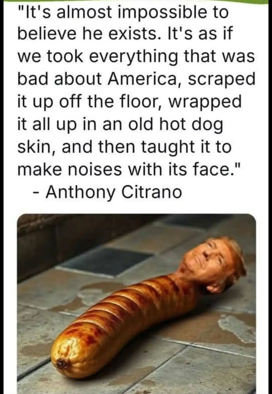 The image shows a digitally altered photo of Donald Trump's head attached to a long, grilled hot dog lying on a tiled floor…