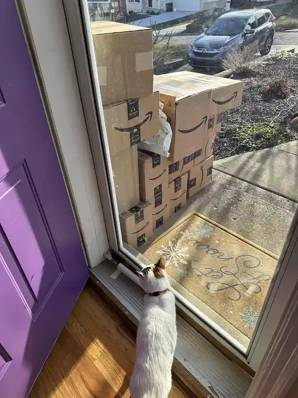 Heartwarming Heroes: Rescuing Two Abandoned Kitties