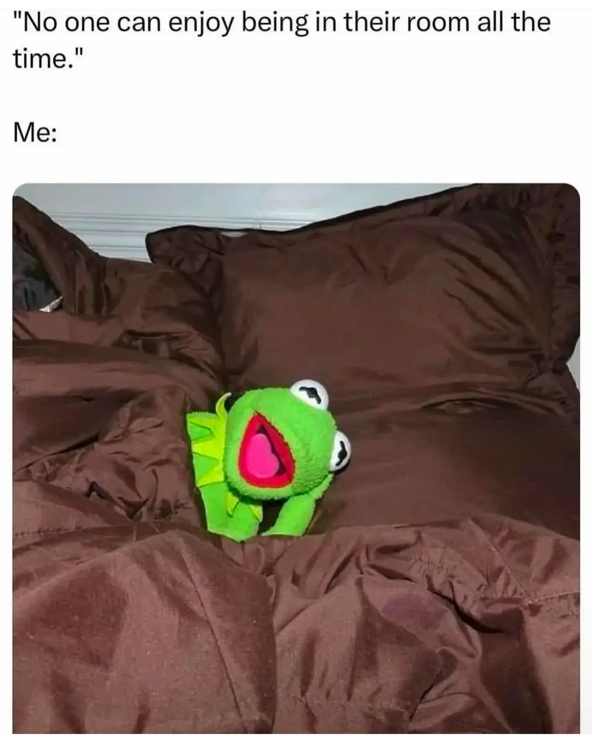 A green plush Kermit the Frog toy with a wide open mouth sits on a rumpled brown bedspread, visually representing the 'Me:'…