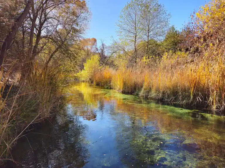 Discovering the Beauty of Dixon Lewis Trail at Fossil Creek, Arizona - Part 1