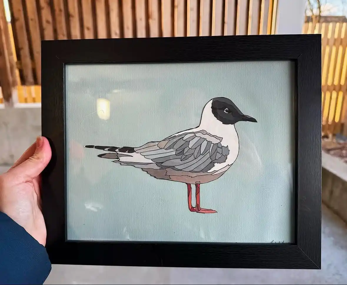Boneparts Gull: A Unique Artistic Perspective