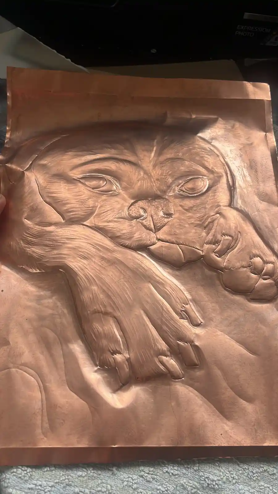 Captivating Image of Jackson the Jug Copper