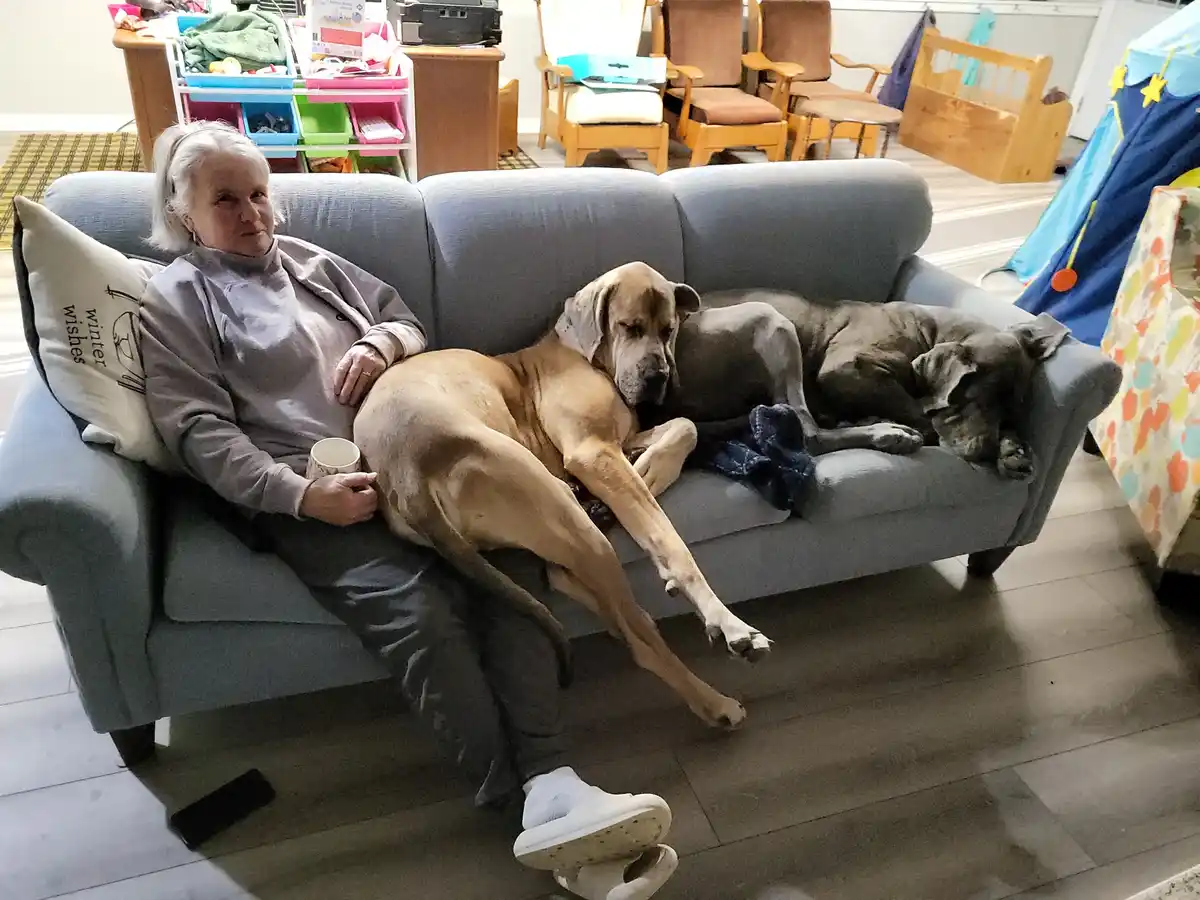 Mom's Rule: No Dogs Allowed on the Couch!