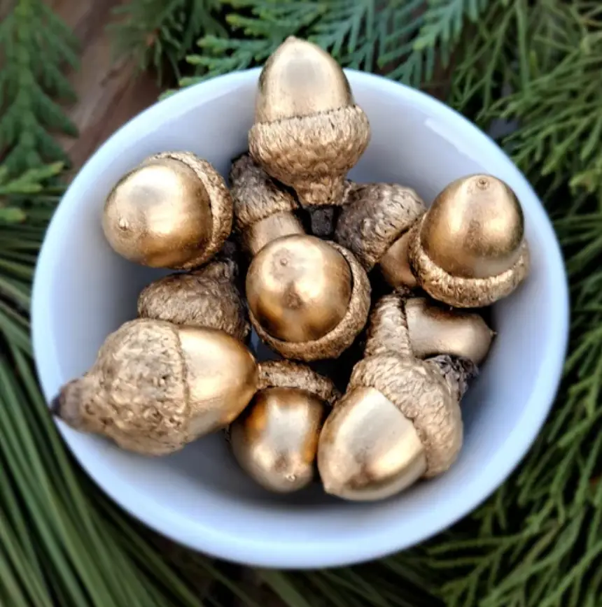 Hurry! Grab the Golden Acorn Now!