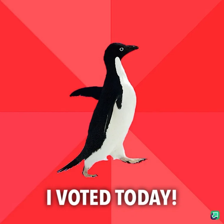 Make Your Voice Heard: Go Vote!