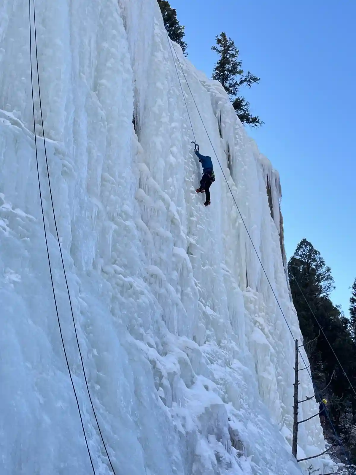 Rising Anti-Immigrant Sentiment: We're Not the Enemy, Just Chill with Some Ice!