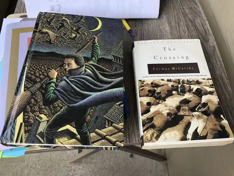 Two books sit side by side on a wooden table: one with a dark, illustrated cover showing a man in a green coat holding a…