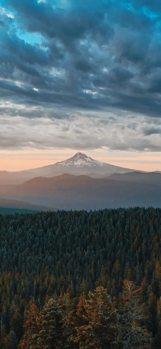 The Wonders of Nature Unveiled