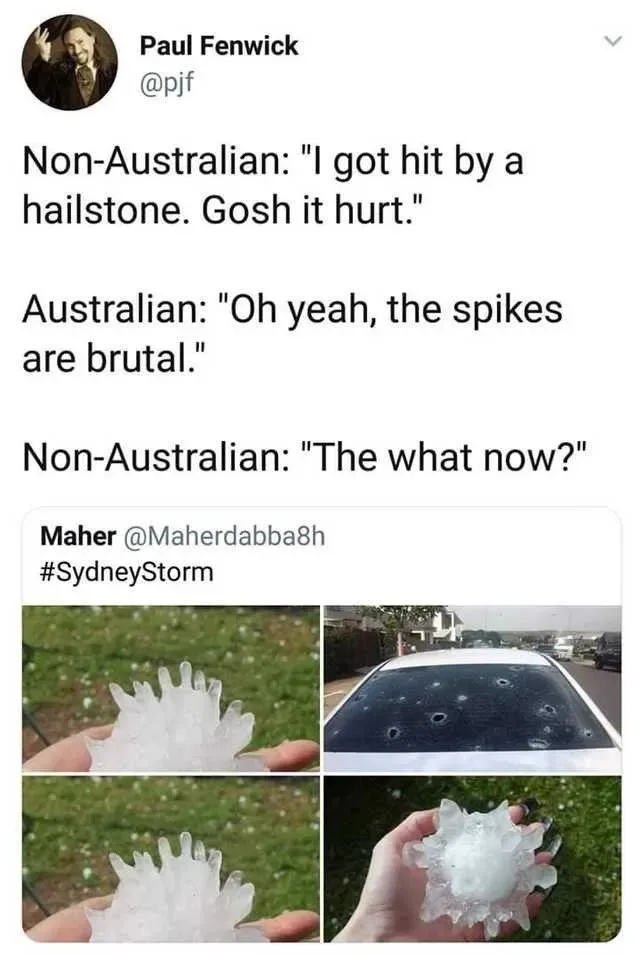 A Twitter thread by Paul Fenwick shows a conversation where a non-Australian is surprised by an Australian's comment about…