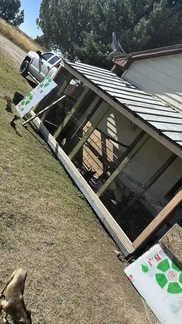 Preparing the Chicken Coop for Winter