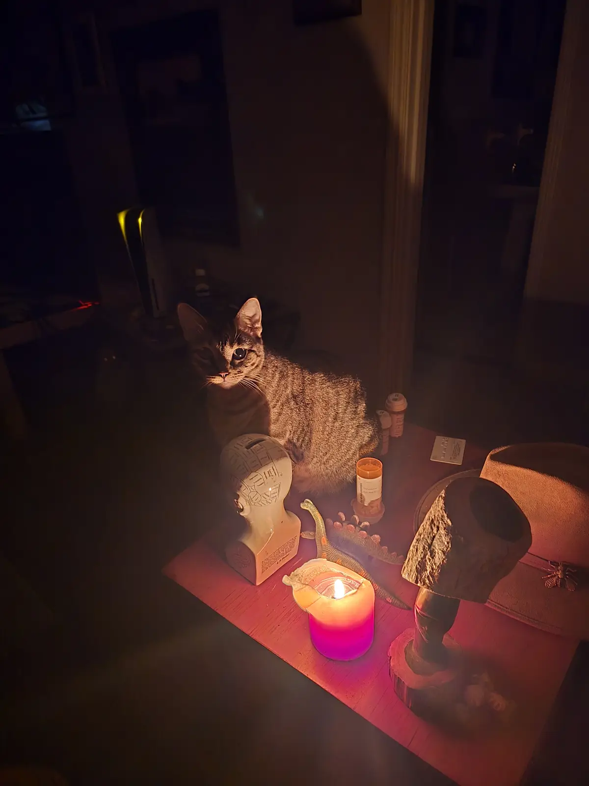 A tabby cat sits solemnly on a dimly lit wooden table surrounded by eclectic items including a lit pink candle, a plastic…