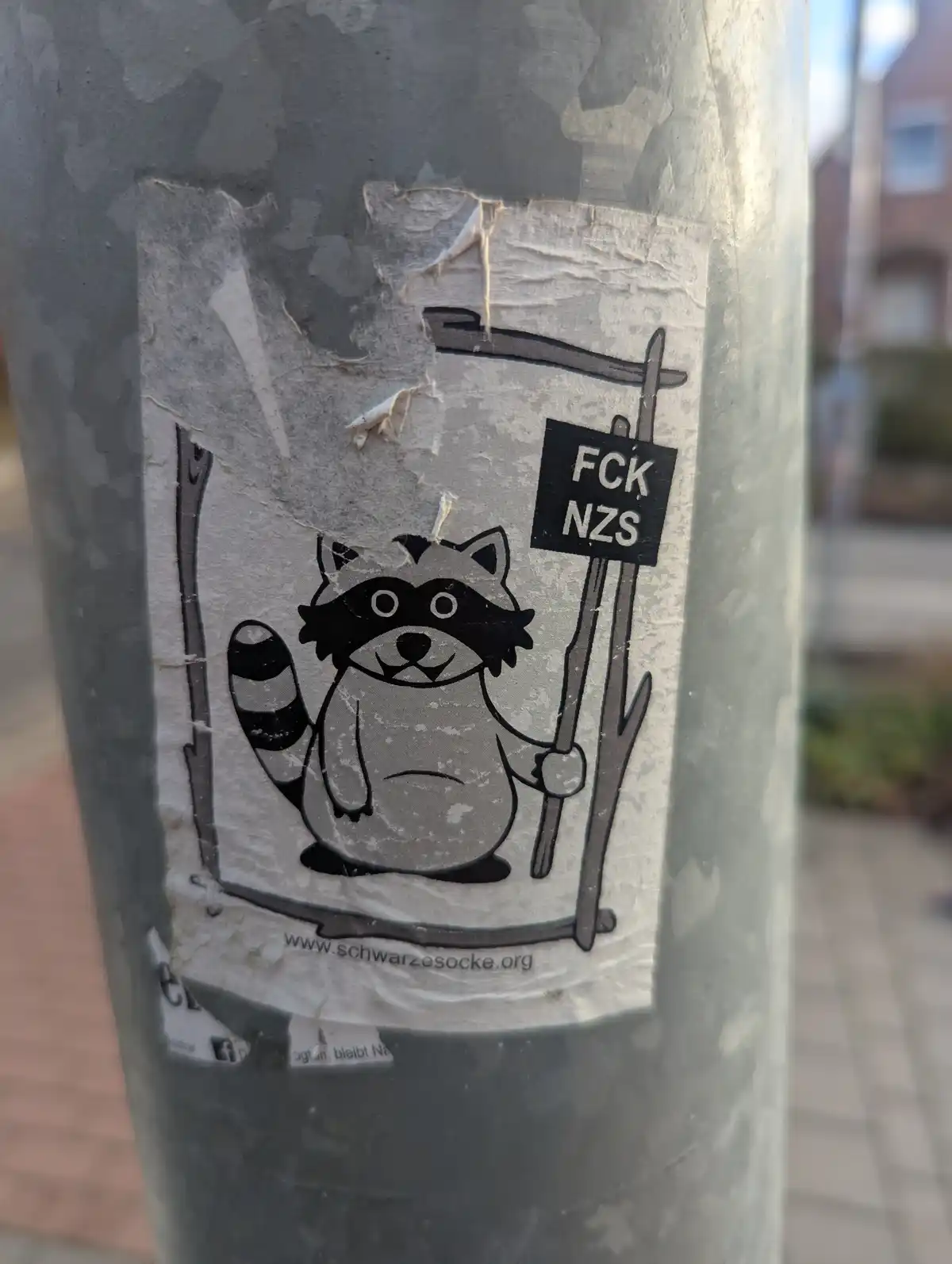 A Bold Statement: FCK NZS