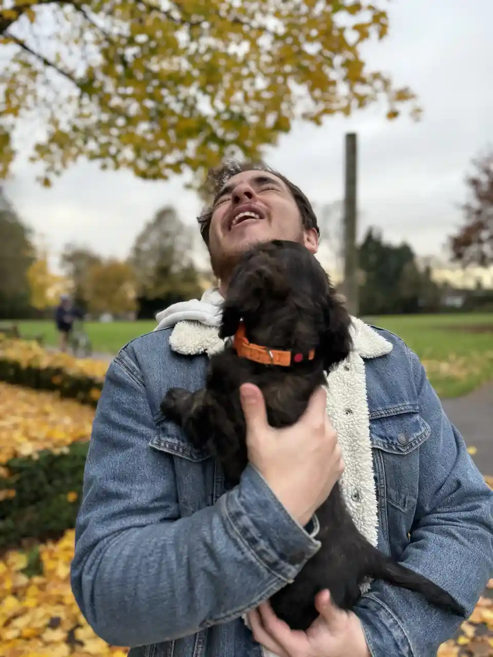Epic Dog Attack Caught on Camera in Lincoln, UK