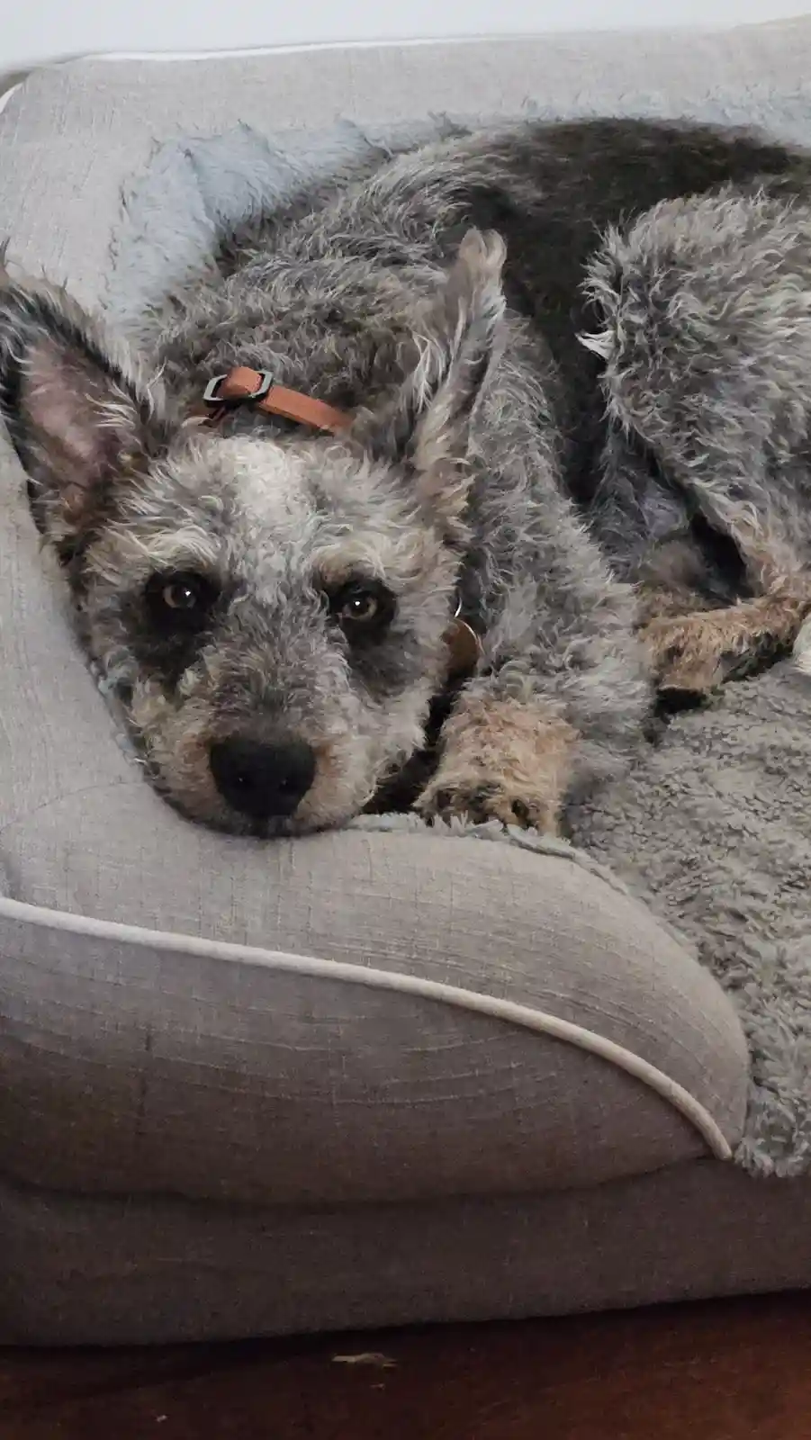 Gus urges you to stop the doomscrolling and start planning for a brighter future