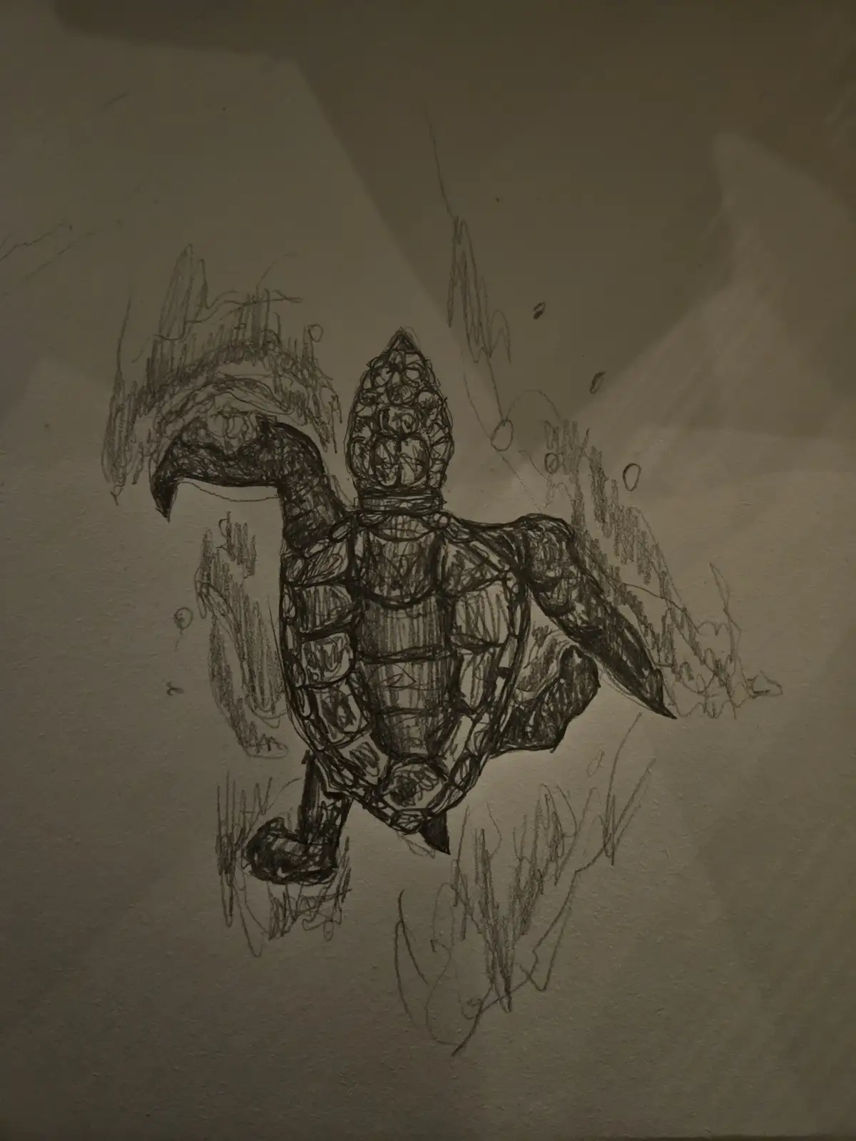 A hand-drawn sketch of a turtle with a crown on its head, drawn in black pencil on textured paper. The turtle is depicted…