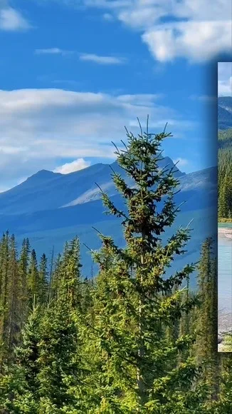 a scenic landscape photo featuring a prominent evergreen tree in the foreground with mountains and a blue sky in the…