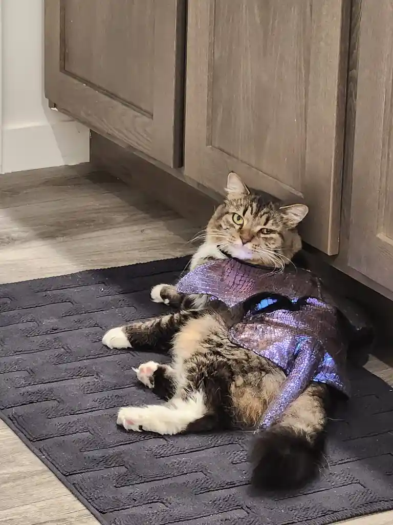 A tabby cat with white paws lies on its back on a dark textured rug, wearing a shiny purple sequined costume that looks like…