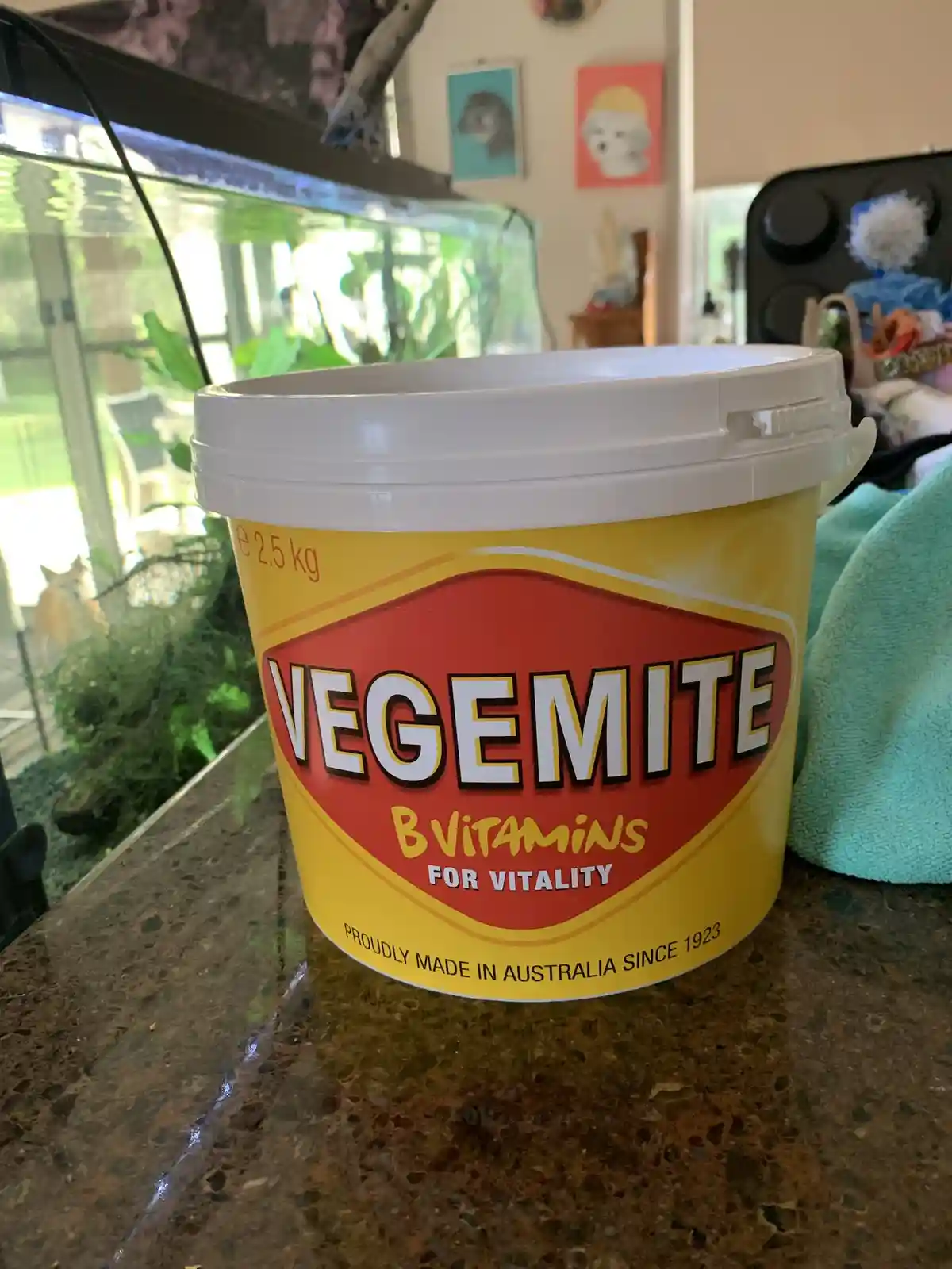 A large 2.5 kg tub of Vegemite sits on a kitchen countertop, its yellow and red label clearly visible. The text on the label…