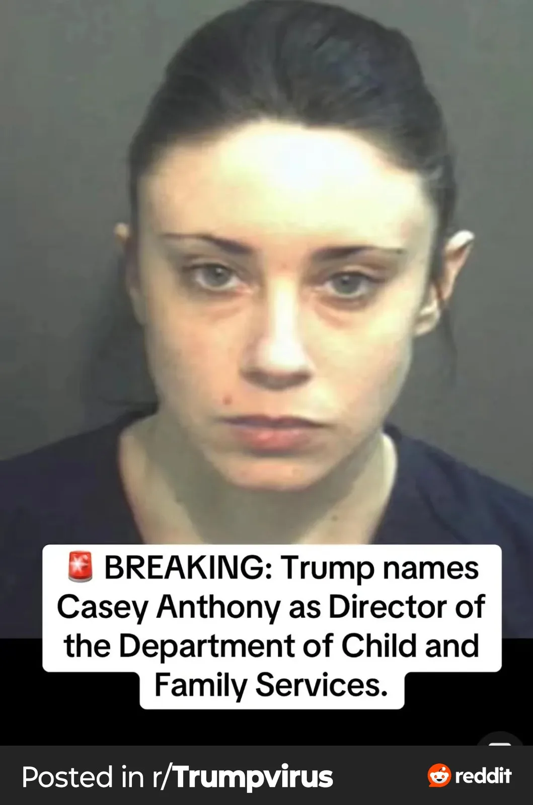At this point, what even is happening?
