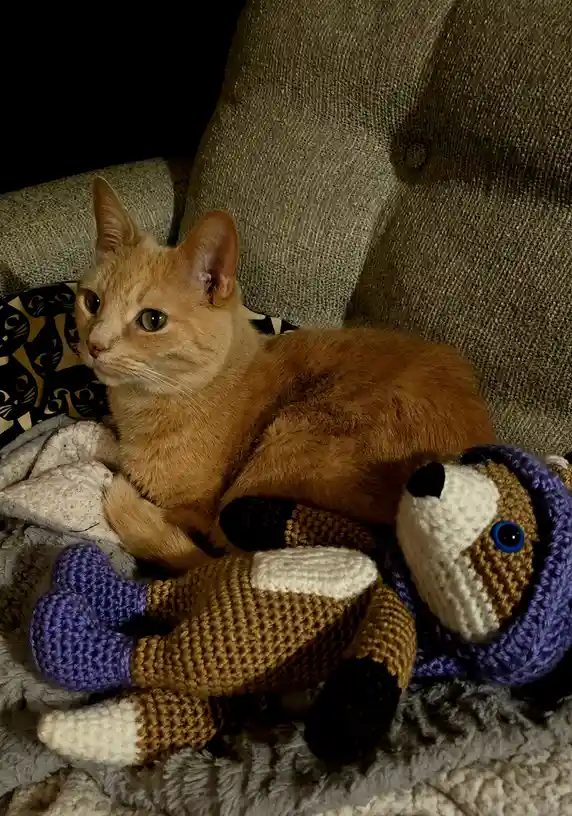 An orange tabby cat sits on a couch next to a crocheted stuffed animal, looking off to the side with a serious expression…