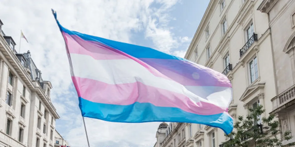 A trans flag with blue, pink, and white horizontal stripes is waving in the wind between two buildings under a partly cloudy…