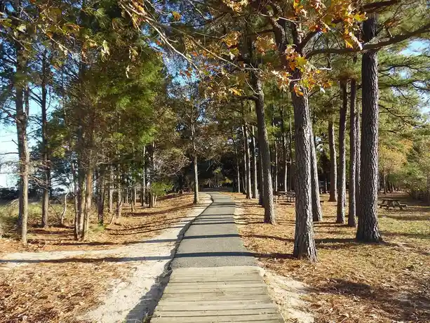 A paved and wooden boardwalk path winds through a forest of tall pine trees with autumnal foliage, under a clear blue sky…