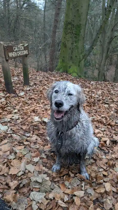Absolutely beaming with joy