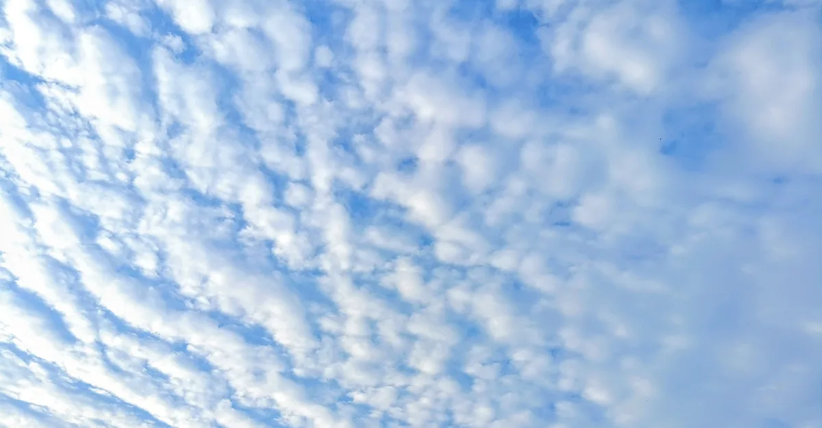 The image shows a bright blue sky filled with scattered, fluffy white clouds, creating a serene and peaceful atmosphere…