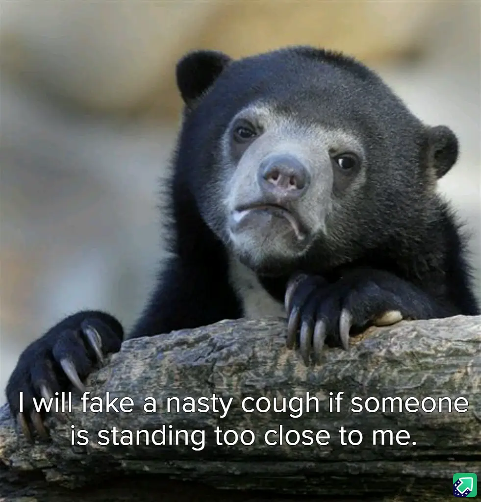 A close-up photo of a black bear with a grumpy, unimpressed facial expression, resting its paws on a log. The overlaid white…